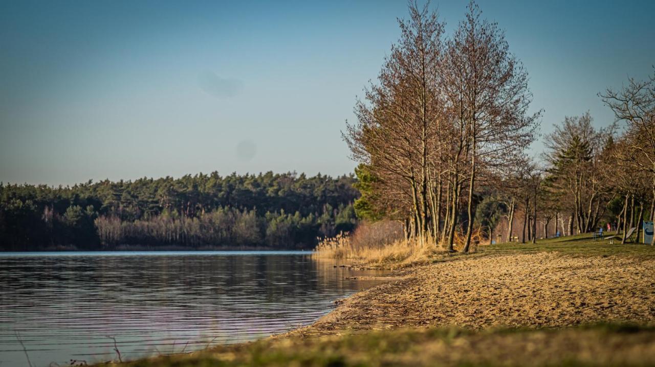 Ferienhaeuser Kiebitzsee Villa Falkenberg/Elster ภายนอก รูปภาพ