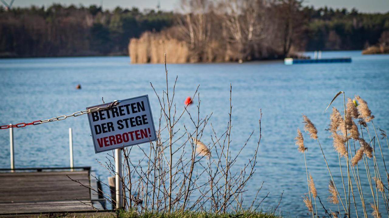 Ferienhaeuser Kiebitzsee Villa Falkenberg/Elster ภายนอก รูปภาพ