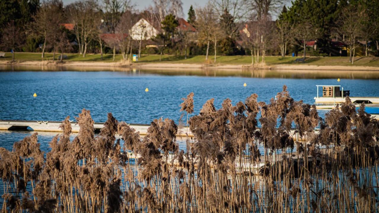 Ferienhaeuser Kiebitzsee Villa Falkenberg/Elster ภายนอก รูปภาพ