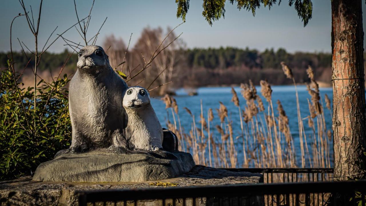 Ferienhaeuser Kiebitzsee Villa Falkenberg/Elster ภายนอก รูปภาพ